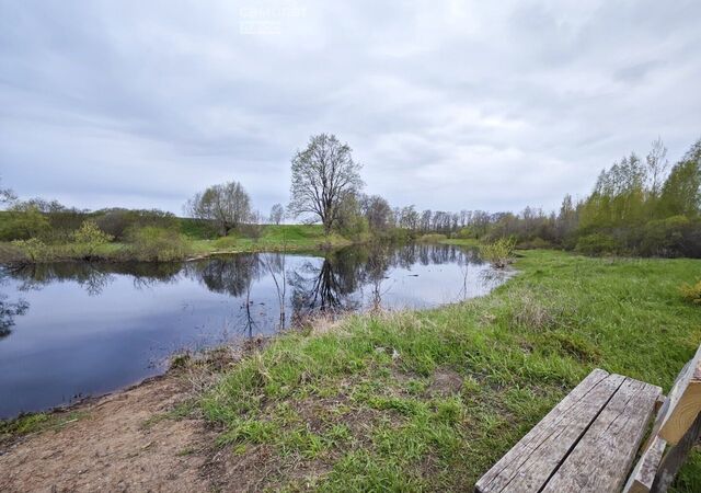 земля д Орлово Борковское сельское поселение, Панковка фото