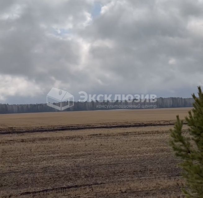 земля р-н Тюменский с Кулига микрорайон Кулига-2 фото 2