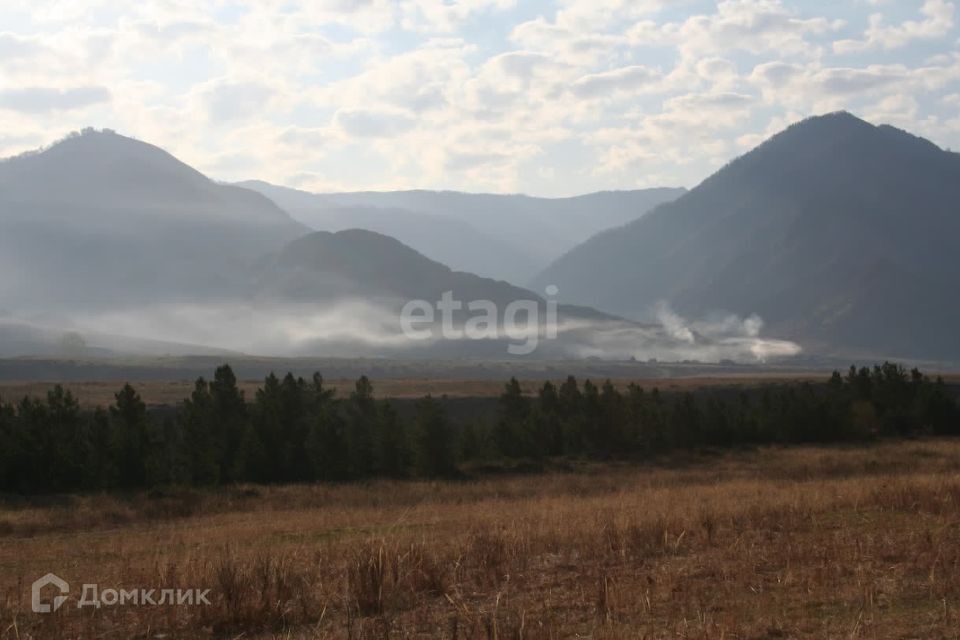 земля р-н Чемальский с Куюс ул Центральная фото 1