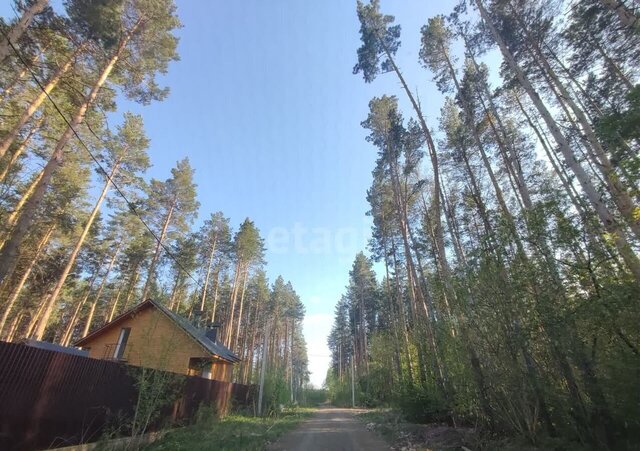 земля деревня Малая Липовица, Котовск фото