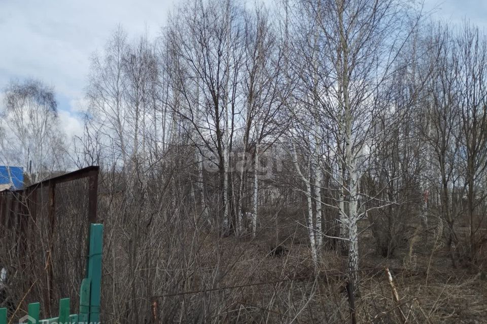 земля р-н Новосибирский снт Крутиха ул 29 фото 6