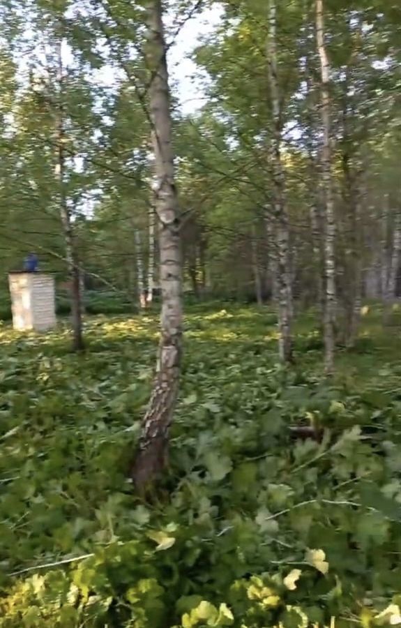 земля г Тула д Алешня ул Садовая Ленинский фото 6