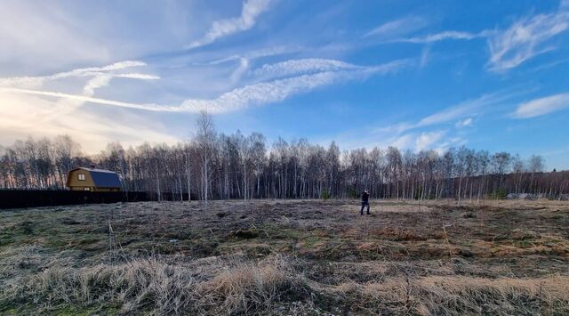 земля Пекшинское муниципальное образование фото