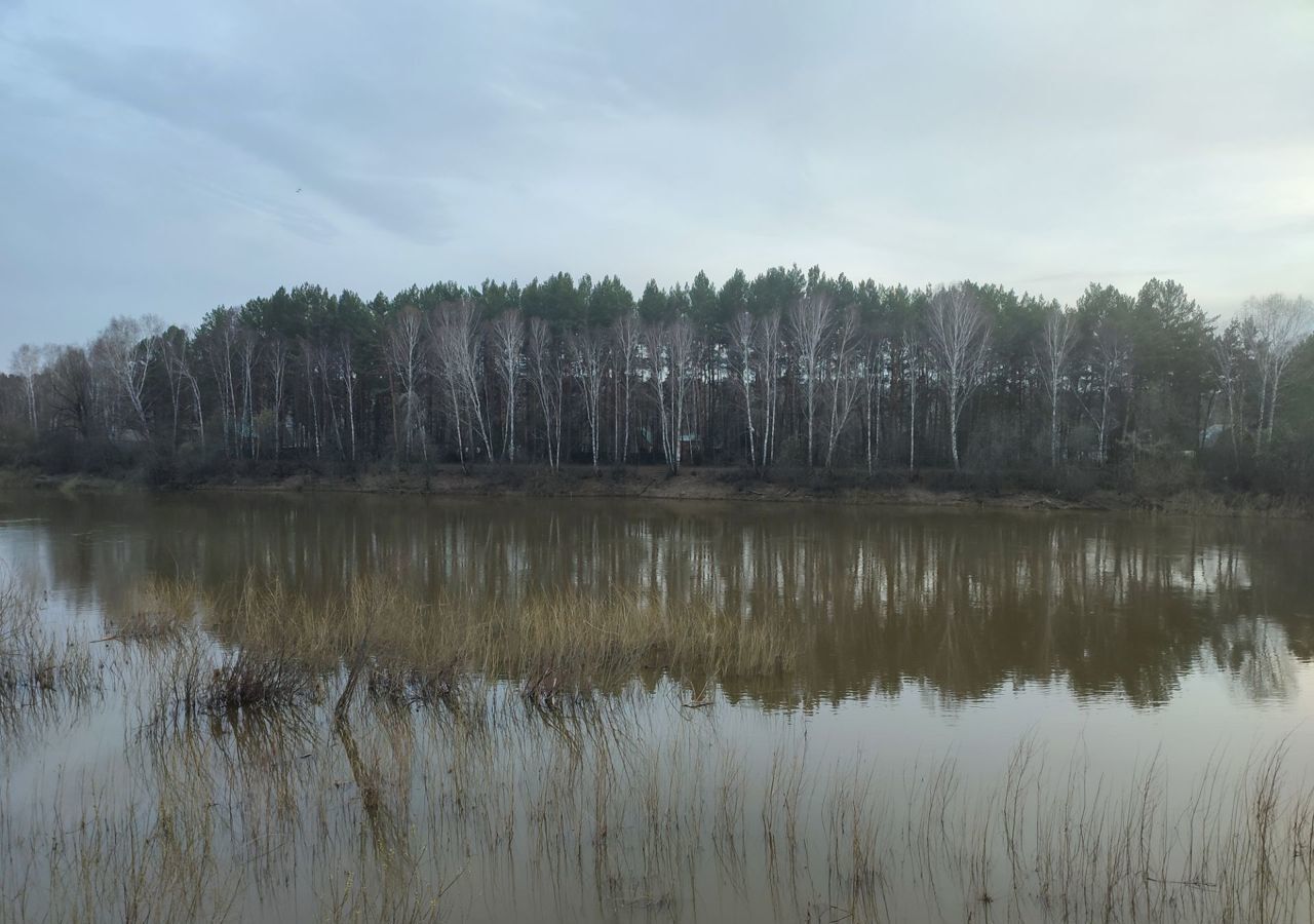 земля р-н Новосибирский с Барышево Новолуговской сельсовет фото 4