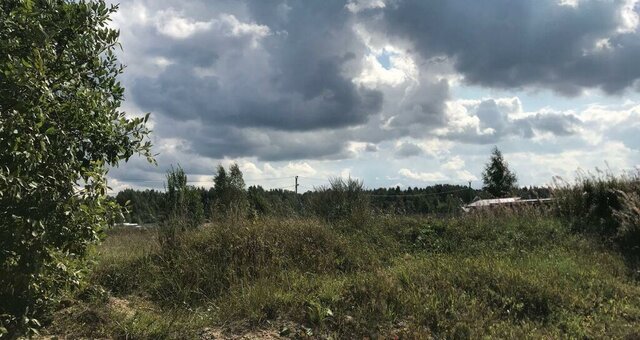 Лопухинское сельское поселение, коттеджный посёлок Горки-3 фото