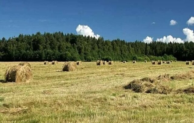 ул Чернышевского фото