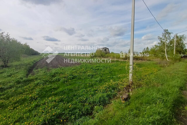 Тюшевское сельское поселение фото