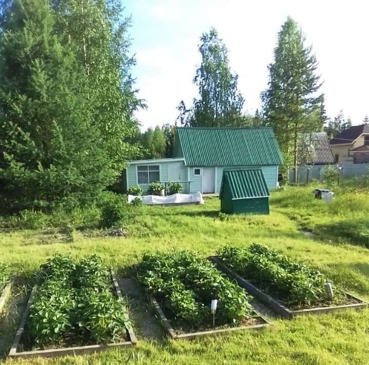 дом р-н Сыктывдинский с Выльгорт Помидор садовое дачное товарищество фото 6