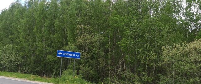 д Текунино Глебовское сельское поселение, Волга фото