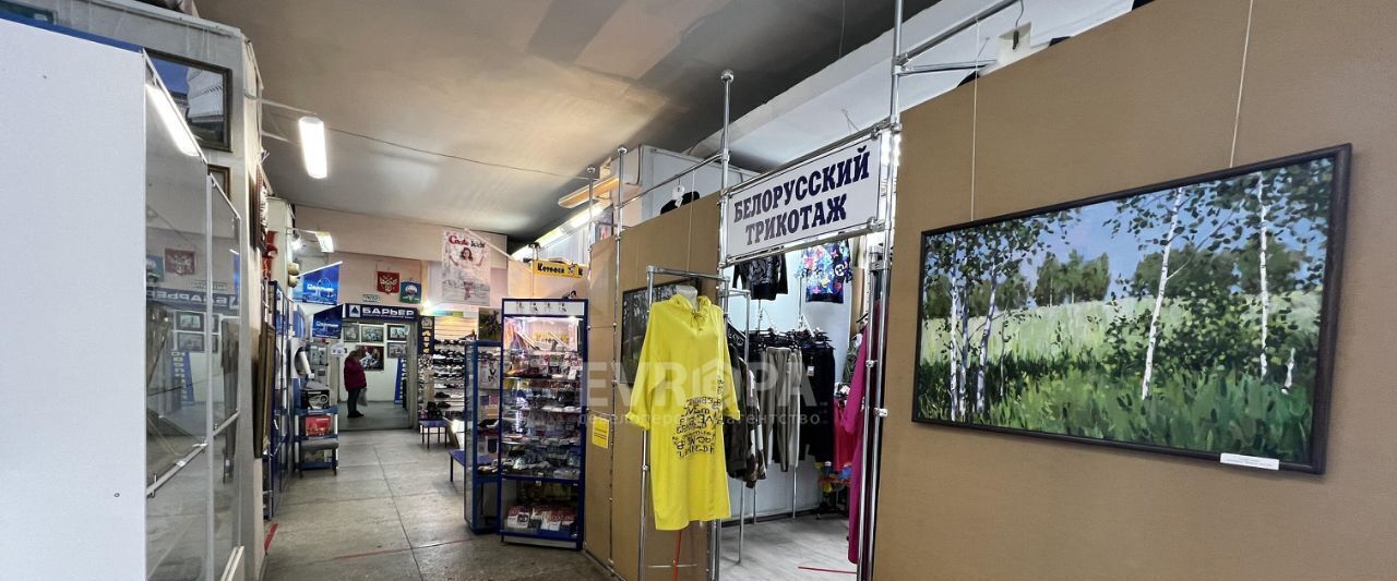 торговое помещение г Ульяновск р-н Ленинский ул Гончарова 11а фото 9
