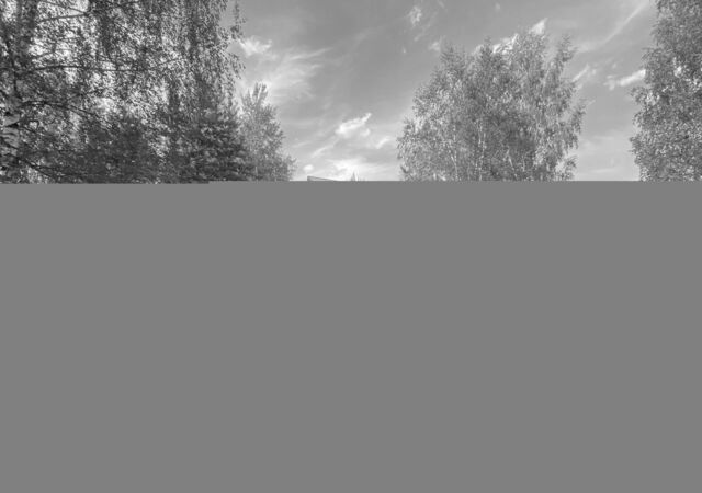 186, Одинцовский г. о., Дорохово, садоводческое некоммерческое товарищество Эдельвейс фото