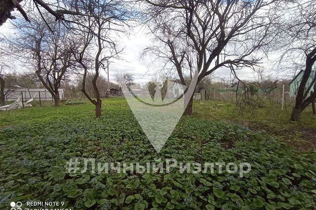 городской округ Рязань, садоводческое товарищество Павловское, 490 фото