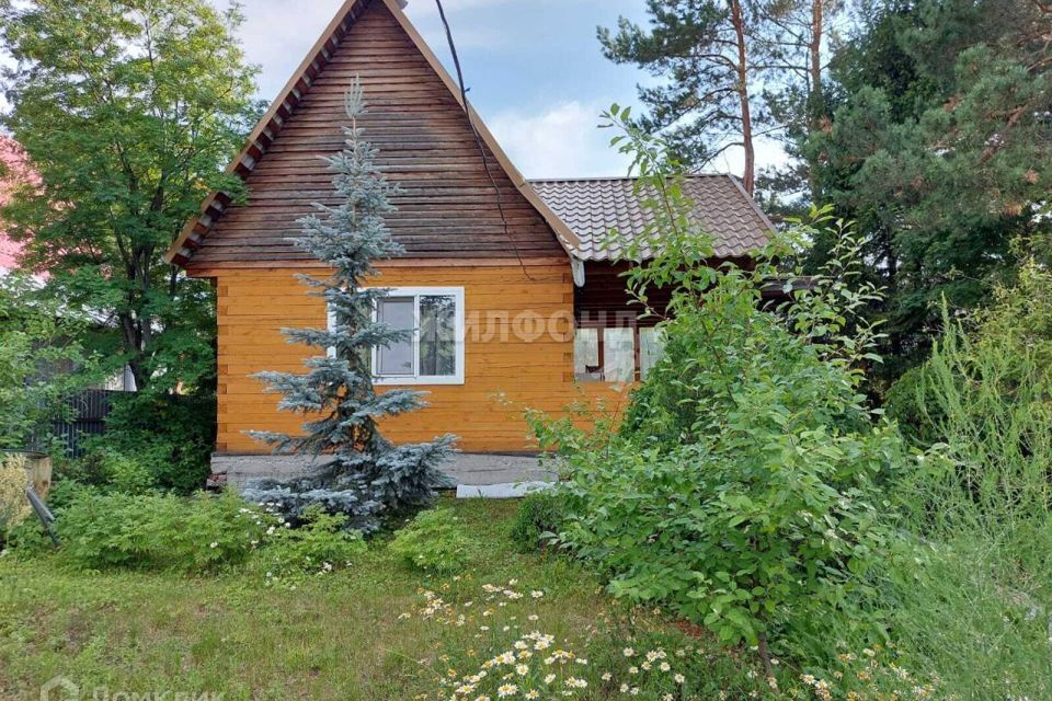 дом р-н Новосибирский садовое товарищество Иней-1 фото 1