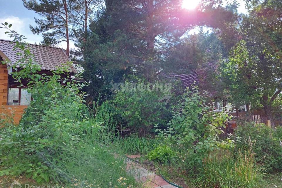 дом р-н Новосибирский садовое товарищество Иней-1 фото 3