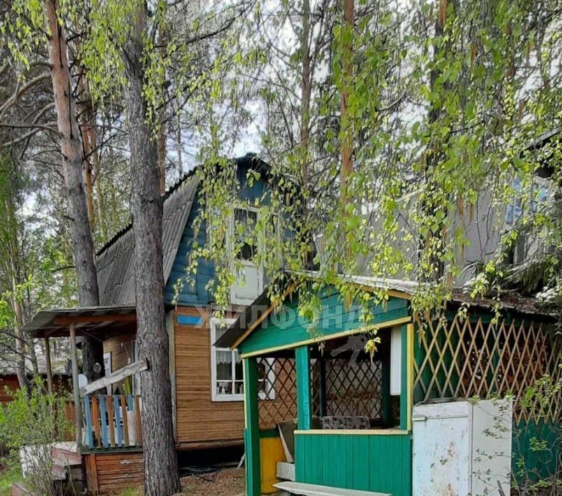 дом р-н Новосибирский снт Волна ул Набережная сельсовет, Кудряшовский фото 2