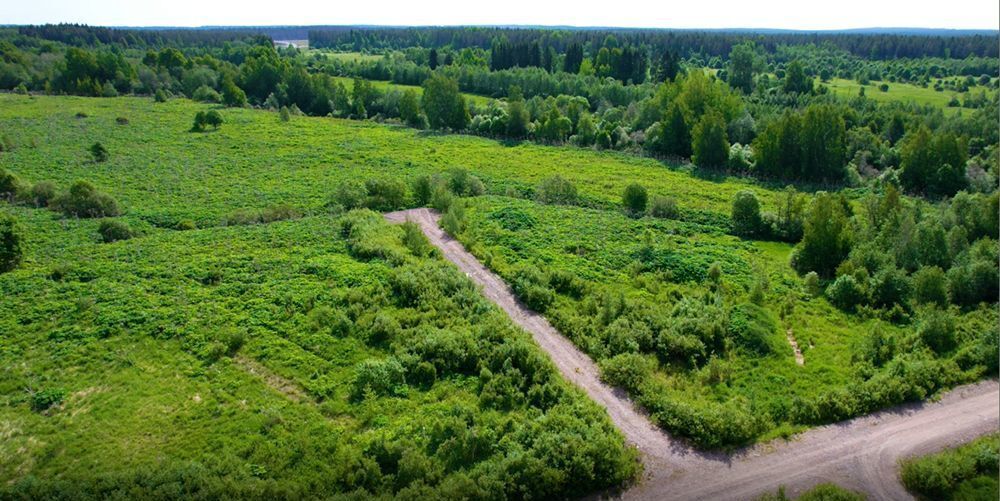 земля р-н Выборгский п Рощино Рощинское городское поселение, городской пос. Рощино фото 3