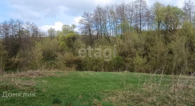 р-н Семилукский с Девица ул Первомайская фото