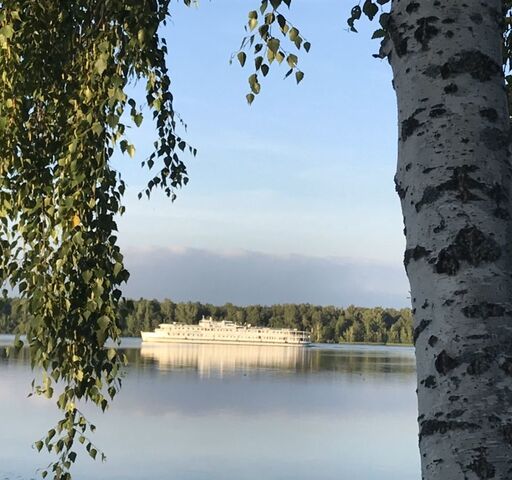 земля с Густомесово Волгореченск фото