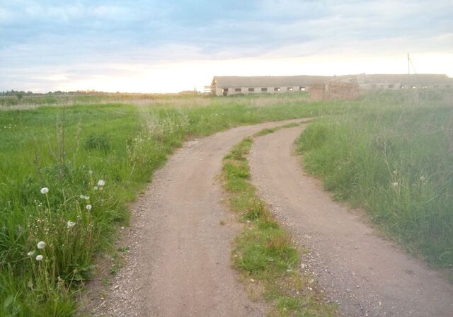 Наговское сельское поселение, Старая Русса фото