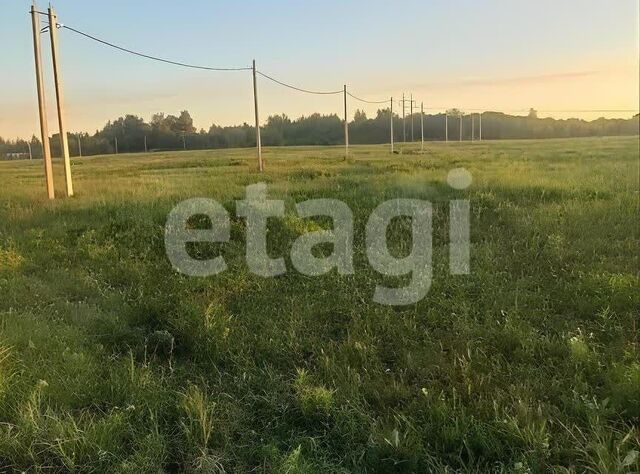 муниципальное образование Новомосковск, деревня Кресты фото