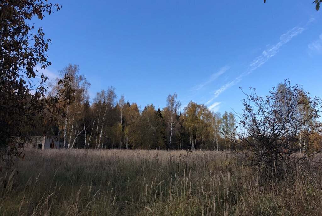 земля городской округ Одинцовский Кокошкино, территориальное управление Голицыно фото 1
