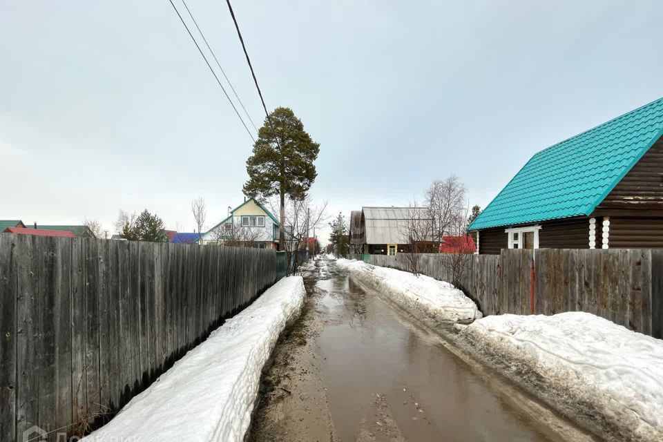 земля г Сургут городской округ Сургут, садовое товарищество Пищевик фото 4