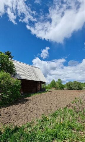 садовое товарищество Ольха, Саянск фото садовое товарищество Ольха, Саянск фото