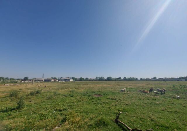 земля ст-ца Червленная Червлёнское сельское поселение, Грозный фото
