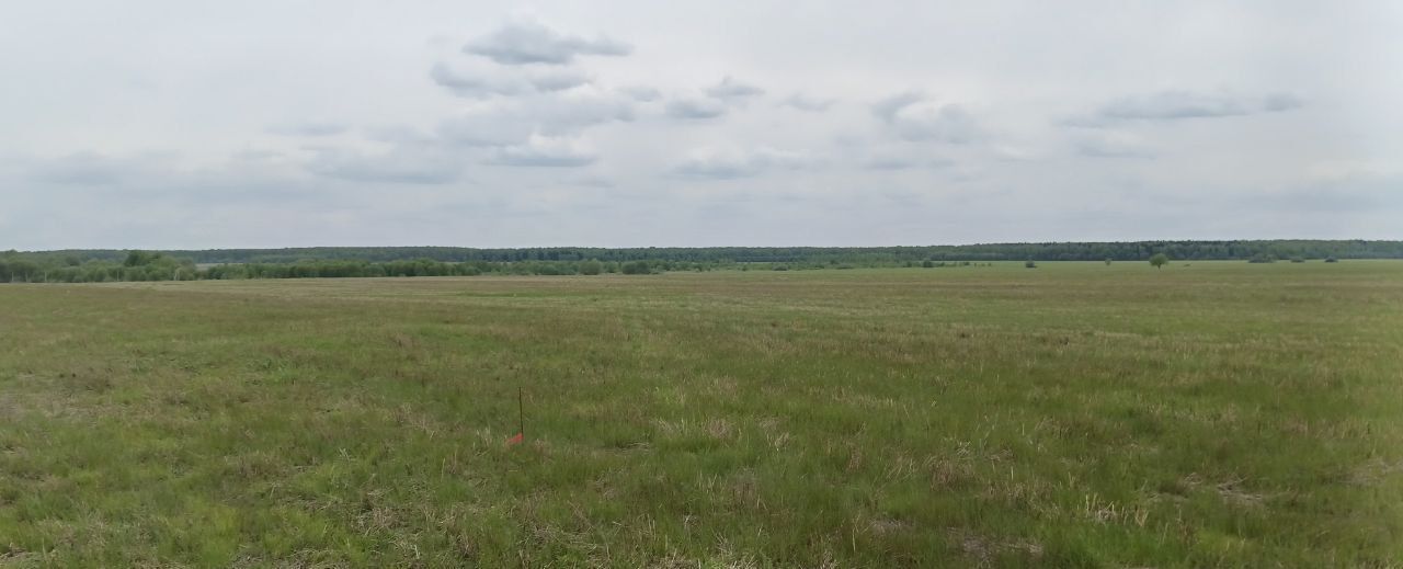 земля городской округ Раменский территориальное управление Ульянинское, Мещерино фото 1