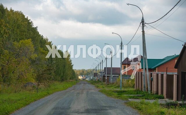 сельсовет, Краснозерское фото
