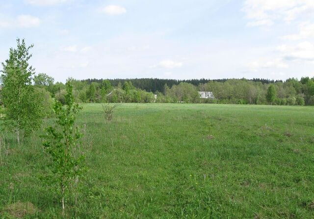 Заболотское сельское поселение, территория Селино, Пермь фото