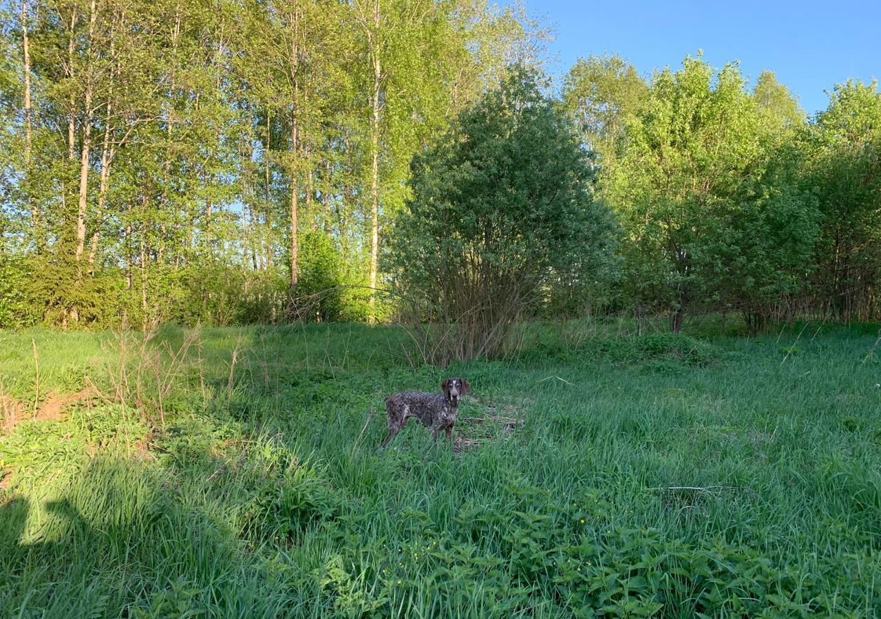 земля городской округ Талдомский снт тер.Навигатор 70, Дубна фото 10