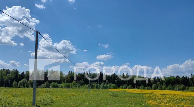 земля Московская область, Щелково городской округ фото