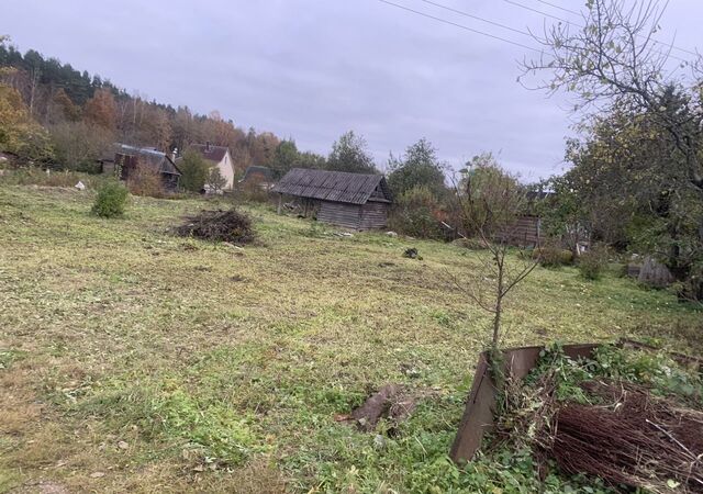 снт Пристань-2 Тямшанская волость, 27-я линия, Псков фото