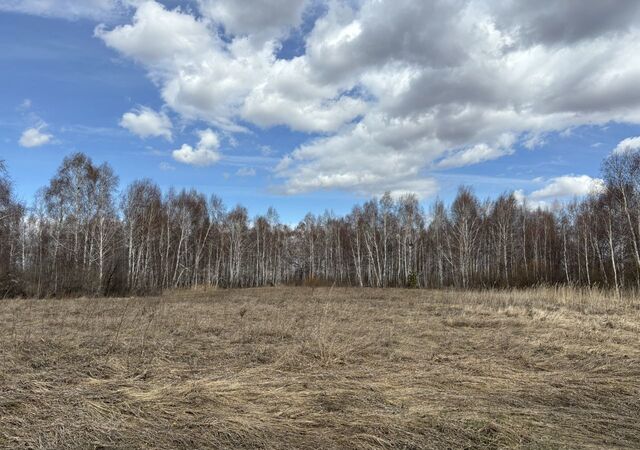 земля с Полетаево 1-е Полетаевское сельское поселение, Полетаево фото
