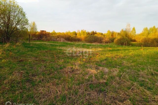 земля деревня Морковкино фото