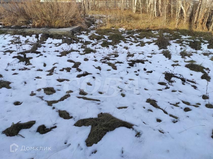 земля р-н Тюменский д Друганова пер Совхозный фото 2