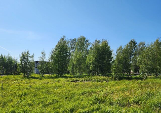 земля Юкковское сельское поселение, коттеджный пос. Чехофф, Санкт-Петербург фото