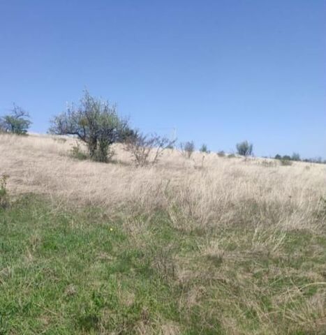 земля с Украинка Добровское сельское поселение, дачный массив Лозовое-3, 215 фото