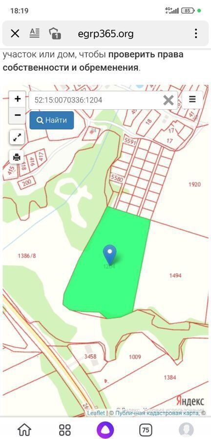 земля р-н Городецкий г Городец д. Терентьево фото 1