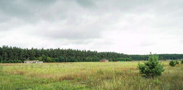 земля с Каплино Рублево кп, 45, Старооскольский городской округ фото