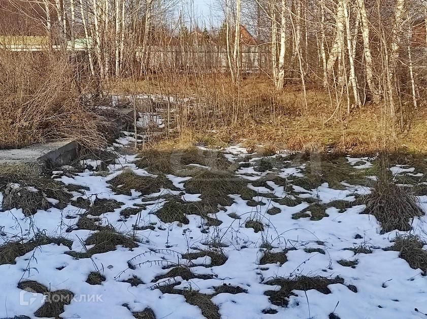 земля р-н Тюменский д Друганова пер Совхозный фото 6