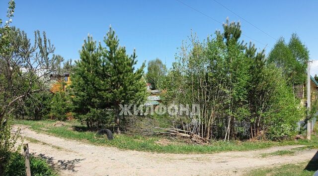 земля Новолуговской сельсовет фото