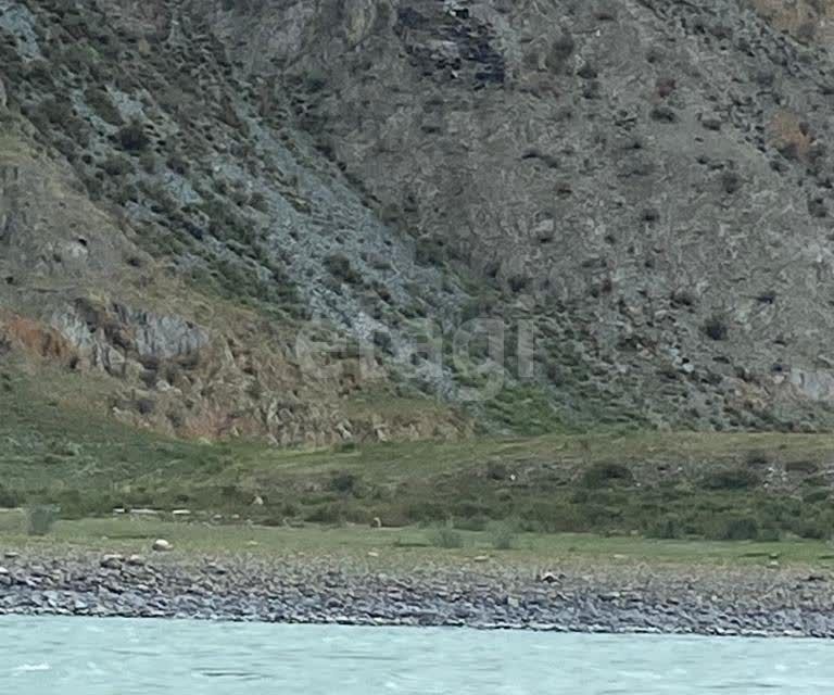 земля р-н Онгудайский село Инегень фото 3