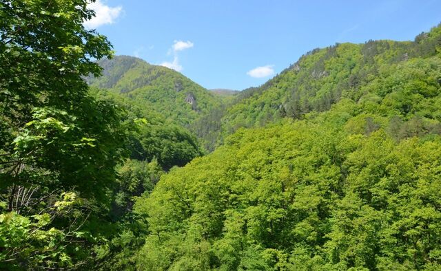 Октябрьское сельское поселение, река Гунайка фото