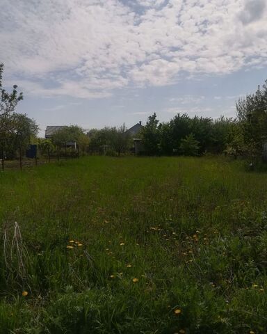 Берёзовское сельское поселение, 93, Рамонь фото
