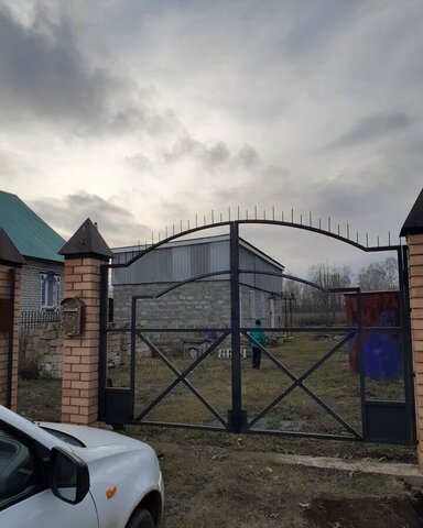 Аксаринское сельское поселение, Заинск фото