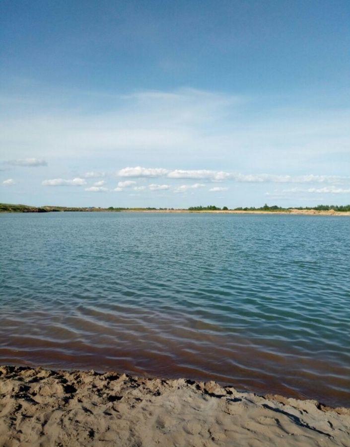 земля р-н Новгородский д Васильевское Ракомское сельское поселение, Панковка фото 9