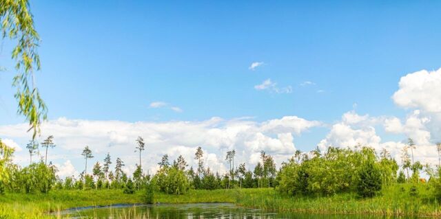 земля пр-д Озерный Агаларов Эстэйт кп, Нахабино фото