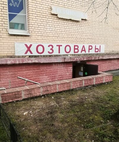 метро Приморская наб Морская 35к/6 фото